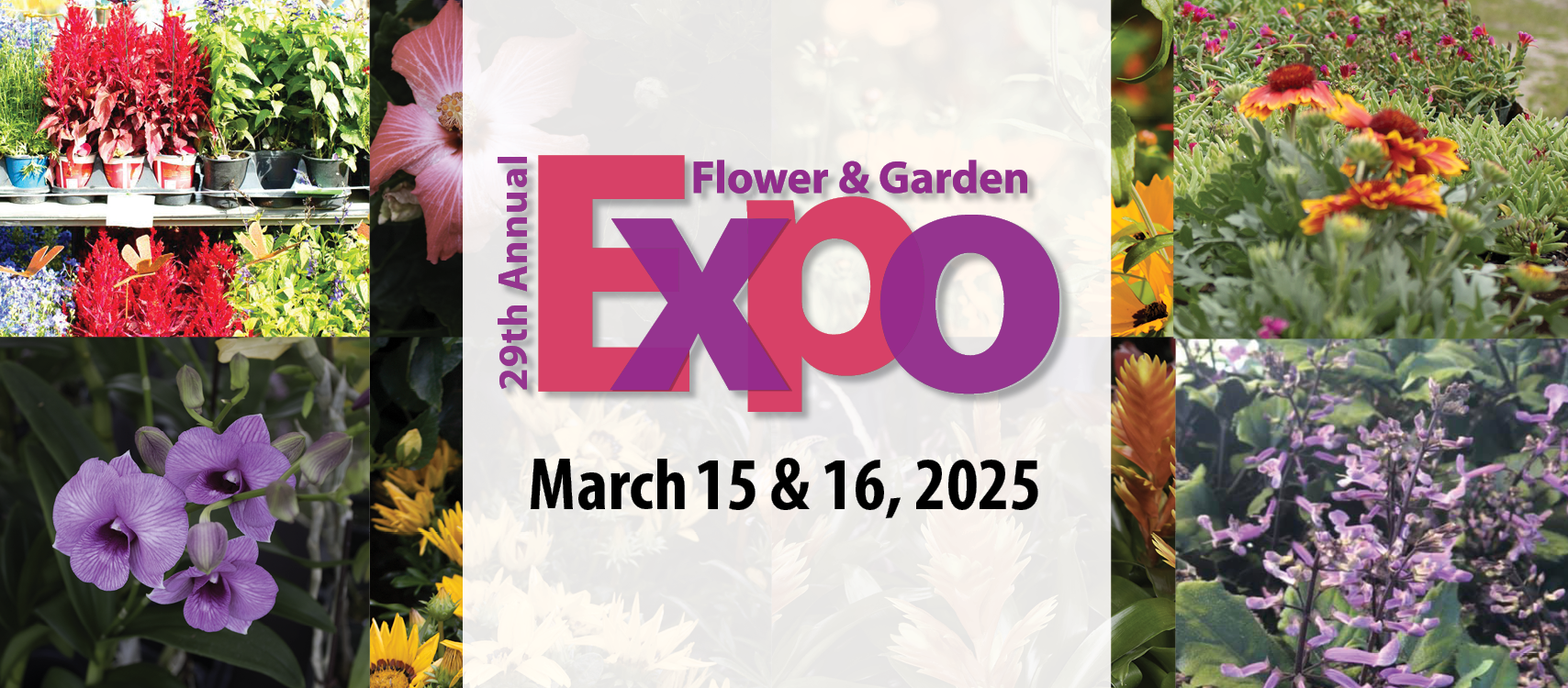 Flower and Garden Festival display with blooming flowers in 2025