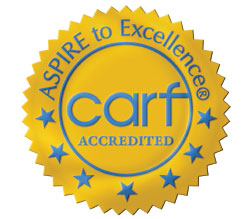 aspire-to-excellence