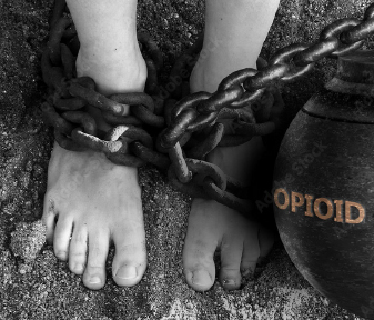 The Opiod Crisis